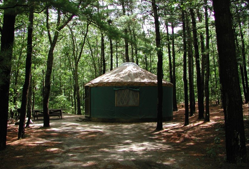Shawme-Crowell State Forest, Massachusetts, USA